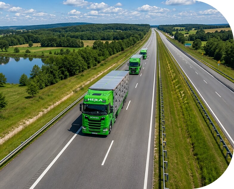 Import warchlaków
